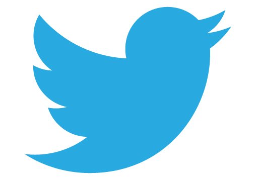  Nuevo logotipo de Twitter: geometría y evolución de nuestro pájaro favorito
